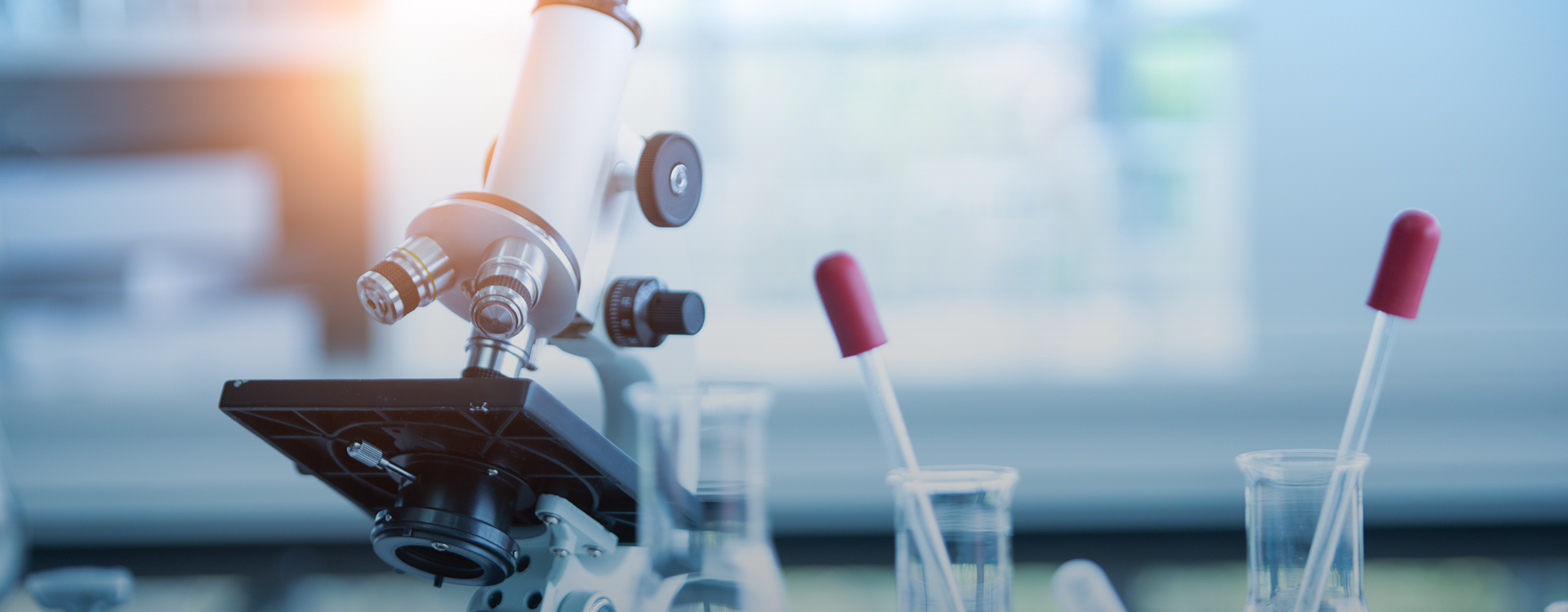 绮惧噯璇婃柇&nbsp;&nbsp;涓烘不鐤楀仛瀵艰埅